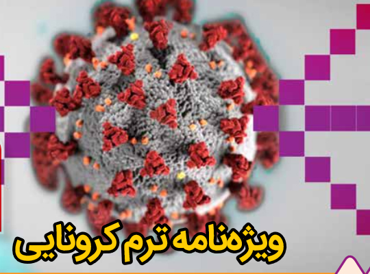 صورة مصغّرة