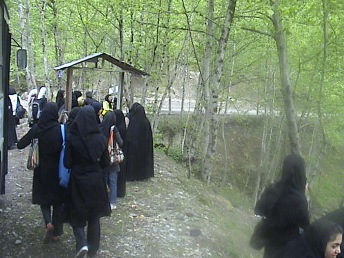 تصویر کوچک