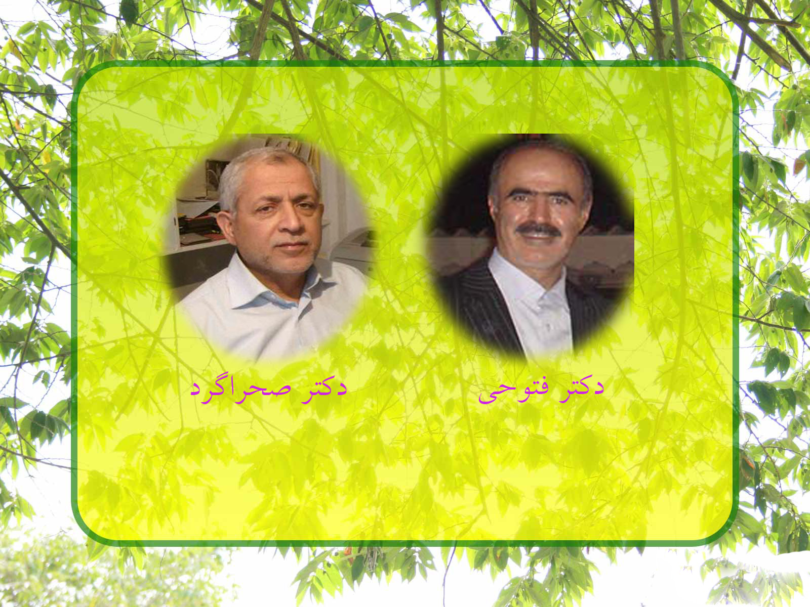 تصویر کوچک