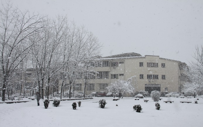 تصویر کوچک