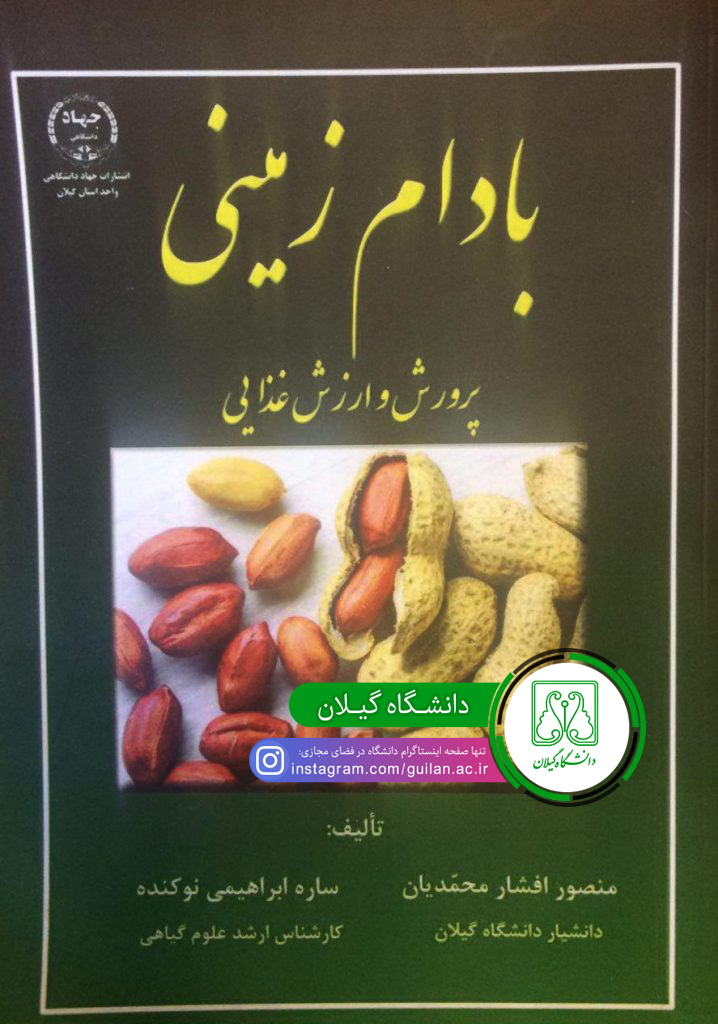 تصویر کوچک