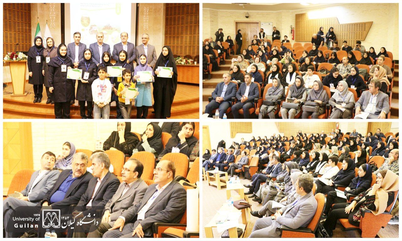 Набросок